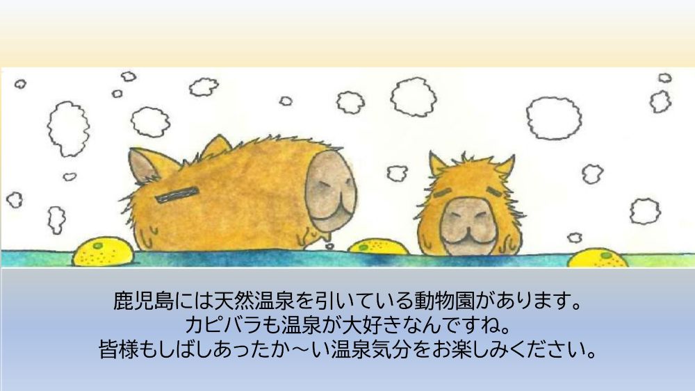 ウェルビー鹿児島中央センター2025年12月カピバラ温泉　sns用　画像①